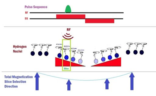 Spesifik doku seçimi